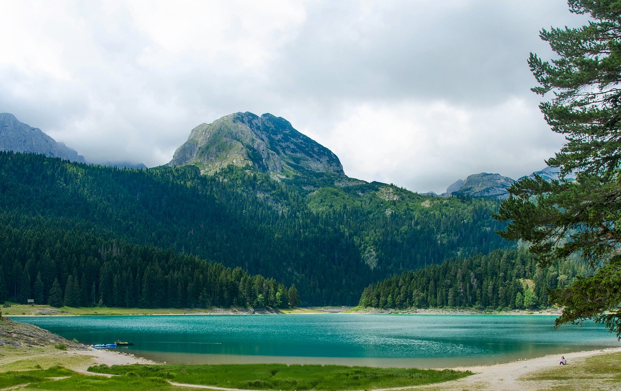 lake, mountains, trees-5930429.jpg